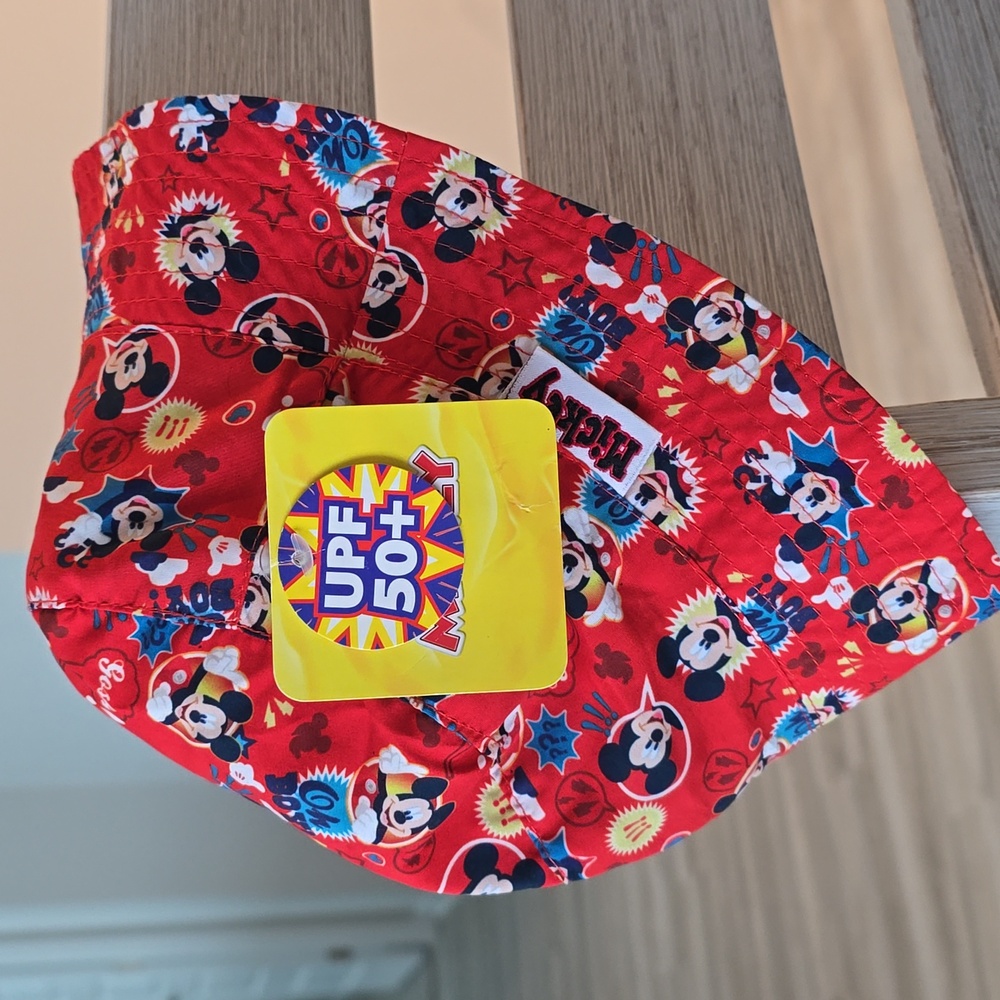 Mickey Hat